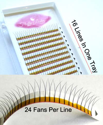 2D Volume Eyelash Extensions