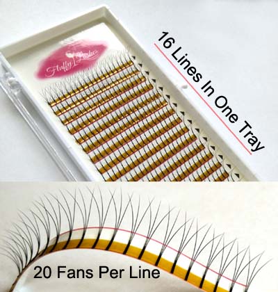 3D Volume Eyelash Extensions