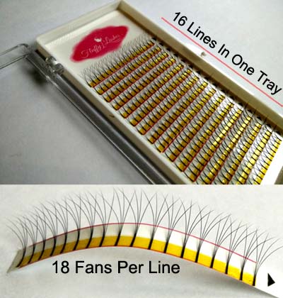 4D Volume Lashes