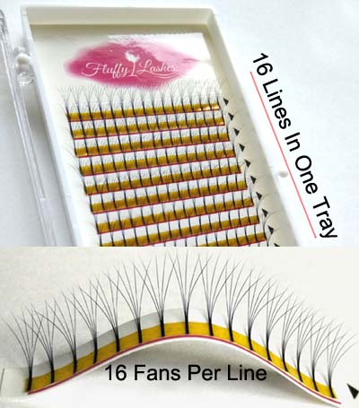 5D Volume Eyelash Extensions