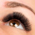 hollywood lash pictures