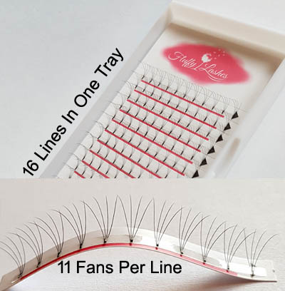 4d rootless wide eyelash fans