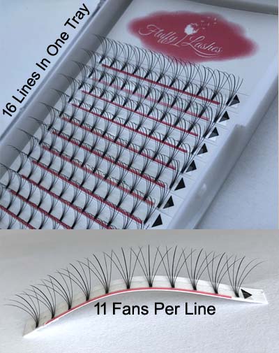 Premade 5D Hybrid Lashes - Order Now on