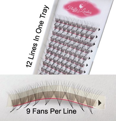 Zoom ind om mandskab 10D Pointy Base Lashes | Pointy Base Premade Fans